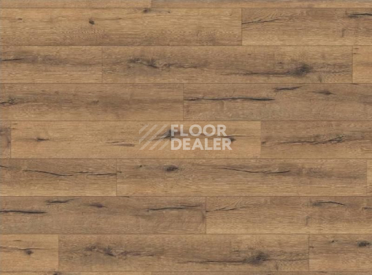 Ламинат Haro Tritty 100 4V ДУБ ИТАЛИКА НАТУР 530335 фото 1 | FLOORDEALER